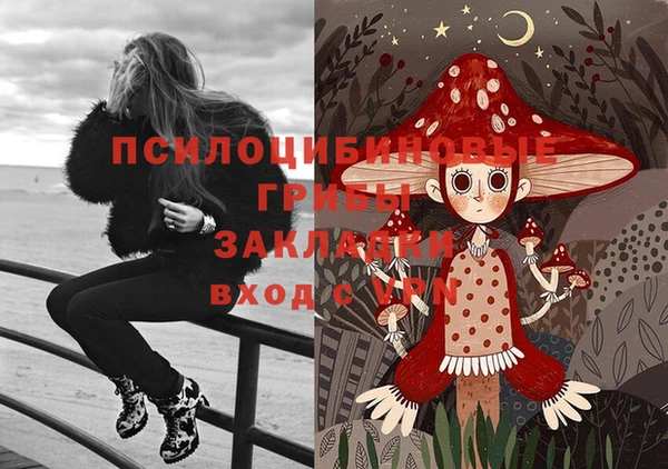 ECSTASY Алзамай