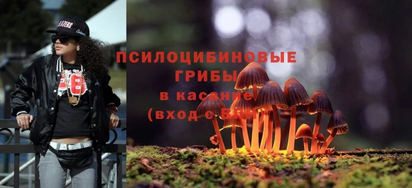 mdpv Покачи