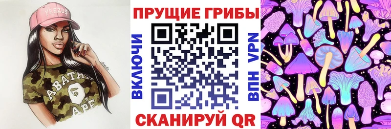 Псилоцибиновые грибы Psilocybe Анжеро-Судженск